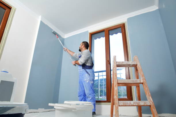 Best Mold Removal for HVAC Installations  in Brookland, AR