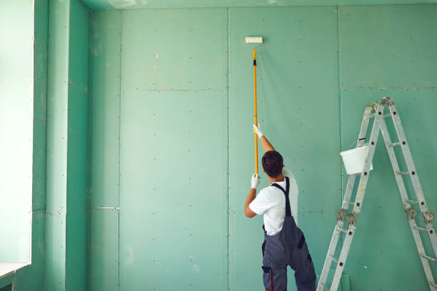 Best Environmental Consulting for Mold Prevention  in Brookland, AR