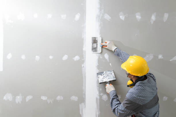 Brookland, AR Mold Removal Company