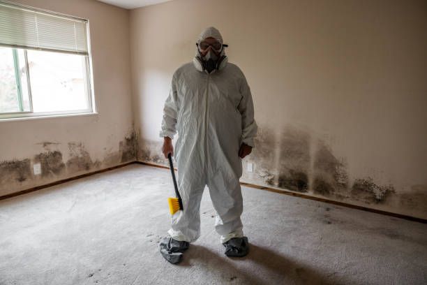Best Emergency Mold Remediation  in Brookland, AR