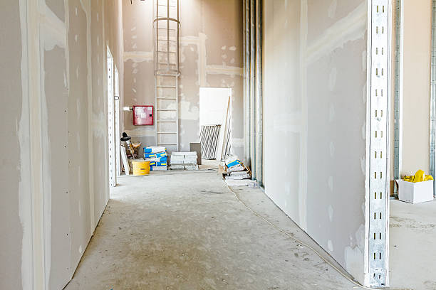 Best Attic Mold Removal  in Brookland, AR
