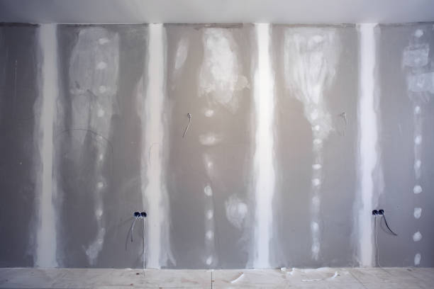 Best Emergency Mold Remediation  in Brookland, AR